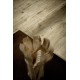Wood effect tile treverkhome Marazzi col birch (15x120 cm ) for livingroom